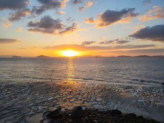 김경란님의 2025년, 농사계획은 어떻게 되시나요? · 참여글 작성글 사진