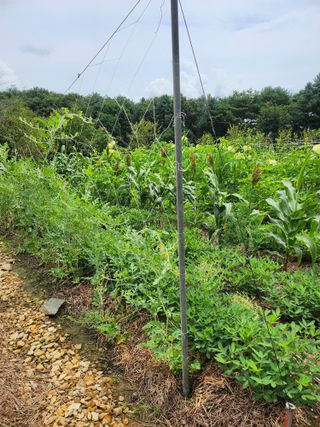 운길산님의 2025년, 농사계획은 어떻게 되시나요? · 참여글 작성글 사진