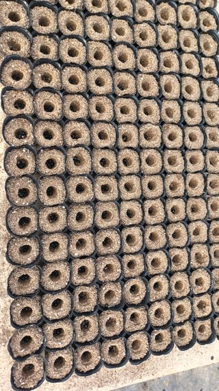 팜모닝회원 김순달 님의 2025년, 농사계획은 어떻게 되시나요? · 참여글 작성글 사진