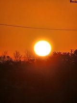 팜모닝 자유주제·자유게시판 게시글 이미지