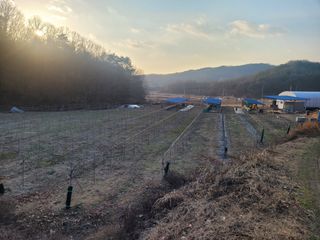 속리산정이품농원님의 2025년, 농사계획은 어떻게 되시나요? · 참여글 작성글 사진