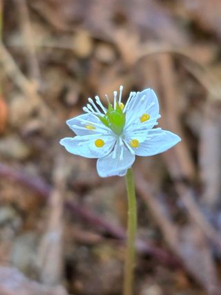 김상진님의 자유주제 · 자유게시판 작성글 사진