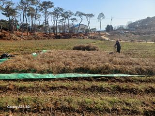 홍순오님의 자유주제 · 자유게시판 작성글 사진