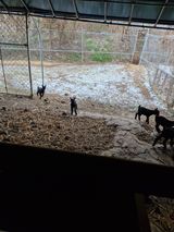 팜모닝 자유주제·자유게시판 게시글 이미지