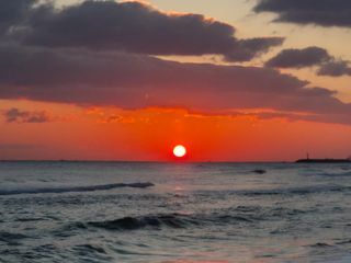 비옥토님의 자유주제 · 자유게시판 작성글 사진