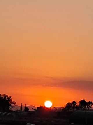 시후농원💃대표박승애님의 작성글 사진