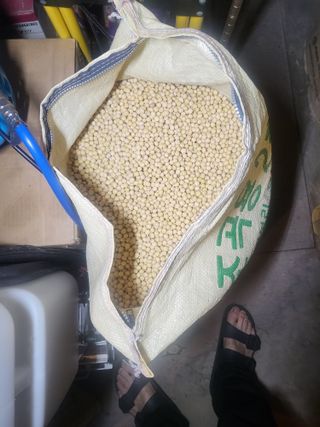 서명석님의 작성글 사진