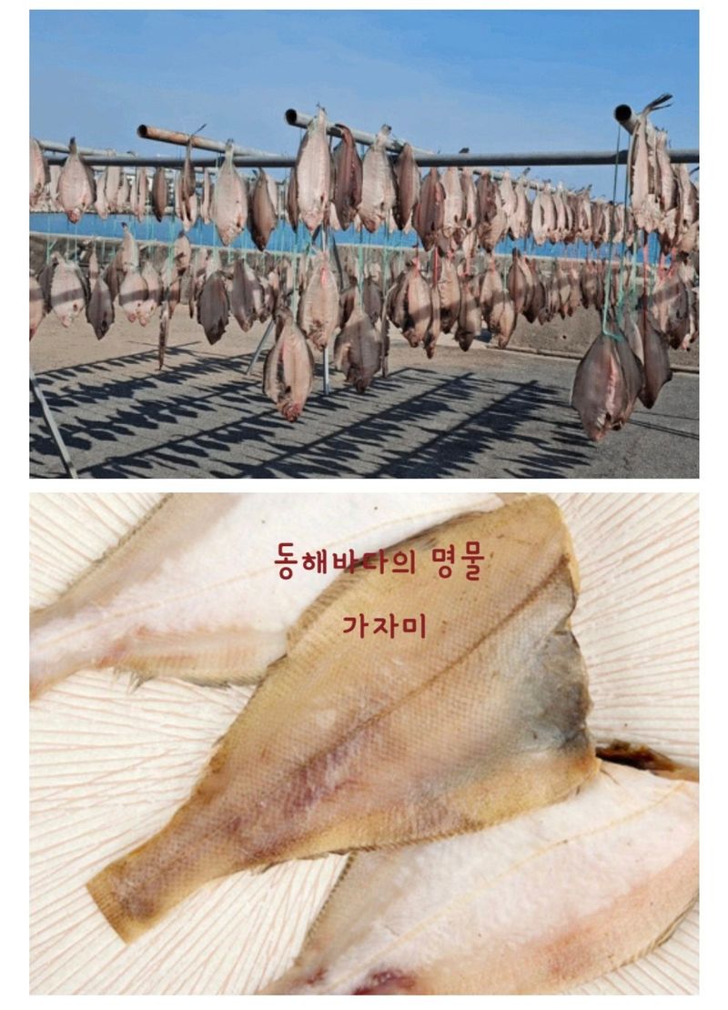 농수사님의 장터 판매 상품 [동해안 참가자미(반건조) 특가] 첨부 사진