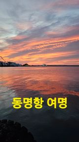 팜모닝 자유주제·자유게시판 게시글 이미지