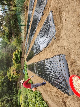 고독한 하이에나님의 2025년, 농사계획은 어떻게 되시나요? · 참여글 작성글 사진