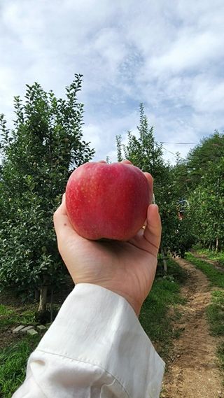 호랑이와인성이님의 작성글 사진