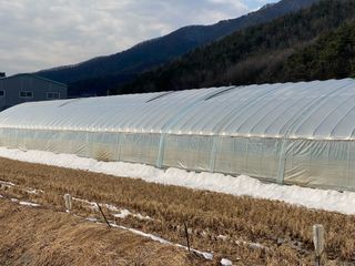 오작교농장님의 자유주제 · 자유게시판 작성글 사진