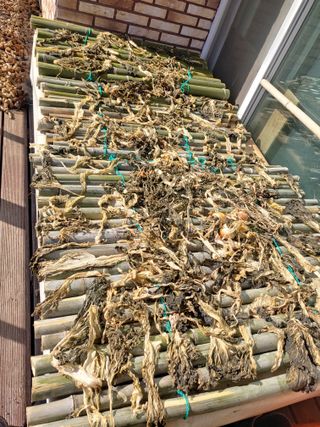 이현상님의 자유주제 · 자유게시판 작성글 사진