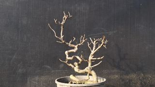 이정운님의 자유주제 · 자유게시판 작성글 사진