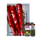 팜모닝 · 게시글 이미지