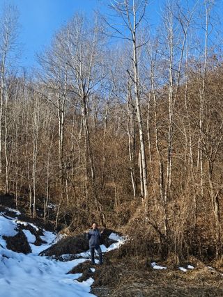 별라님의 자유주제 · 자유게시판 작성글 사진