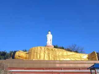 박상현님의 자유주제 · 자유게시판 작성글 사진