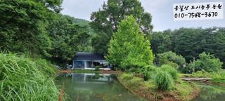 운길산님의 2025년, 농사계획은 어떻게 되시나요? · 참여글 작성글 사진