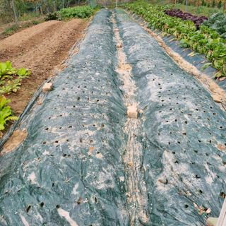 훈&팜님의 2025년, 농사계획은 어떻게 되시나요? · 참여글 작성글 사진