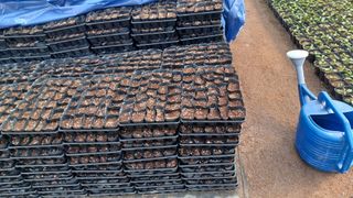 팜모닝회원 김순달 님의 2025년, 농사계획은 어떻게 되시나요? · 참여글 작성글 사진