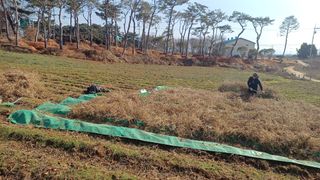 홍순오님의 자유주제 · 자유게시판 작성글 사진