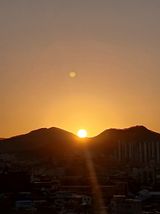 팜모닝 2025년, 농사계획은 어떻게 되시나요?·참여글 게시글 이미지