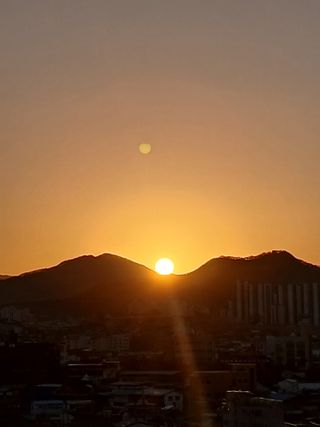 장광열님의 2025년, 농사계획은 어떻게 되시나요? · 참여글 작성글 사진