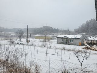 전홍열님의 자유주제 · 자유게시판 작성글 사진