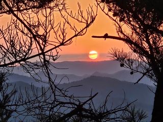 박상현님의 자유주제 · 자유게시판 작성글 사진