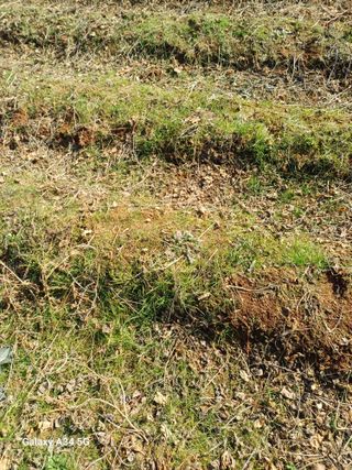 홍순오님의 자유주제 · 자유게시판 작성글 사진