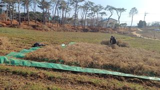 홍순오님의 자유주제 · 자유게시판 작성글 사진