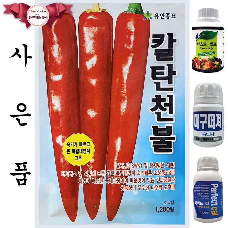 장터 상품 [칼탄천불 1200립 26년 사은품3종] 썸네일