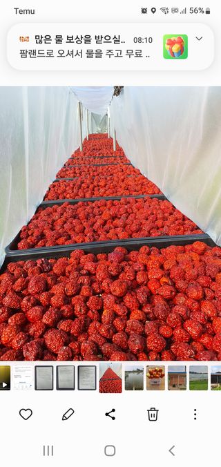 차상철님의 작성글 사진