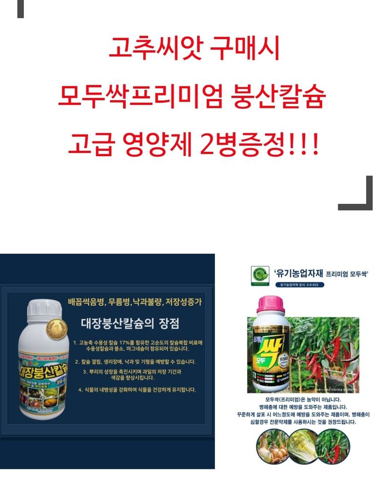 대산농사대장님의 장터 판매 상품 [스피드칼탄 1200립 복합내병계] 첨부 사진