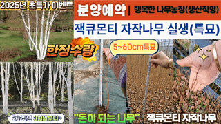 행복한나무농장님의 작성글 사진