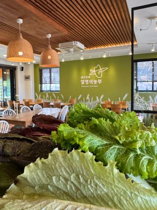 주주씨앗님의 자유주제 · 자유게시판 작성글 사진