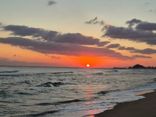 비옥토님의 자유주제 · 자유게시판 작성글 사진