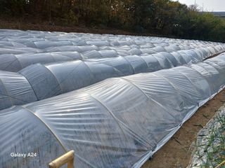 고양농장님의 2025년, 농사계획은 어떻게 되시나요? · 참여글 작성글 사진