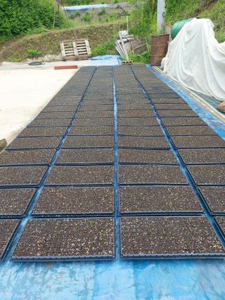 홍순원님의 2025년, 농사계획은 어떻게 되시나요? · 참여글 작성글 사진