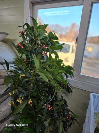 소병찬님의 2025년, 농사계획은 어떻게 되시나요? · 참여글 작성글 사진