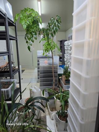 소병찬님의 2025년, 농사계획은 어떻게 되시나요? · 참여글 작성글 사진