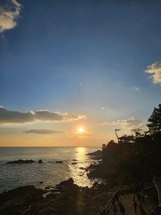 정희군님의 자유주제 · 자유게시판 작성글 사진