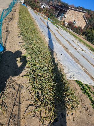 오영관님의 자유주제 · 자유게시판 작성글 사진