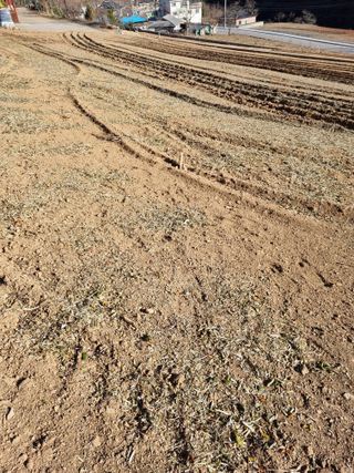 이상응님의 2025년, 농사계획은 어떻게 되시나요? · 참여글 작성글 사진