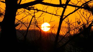 김흥환 님의 2025년, 농사계획은 어떻게 되시나요? · 참여글 작성글 사진