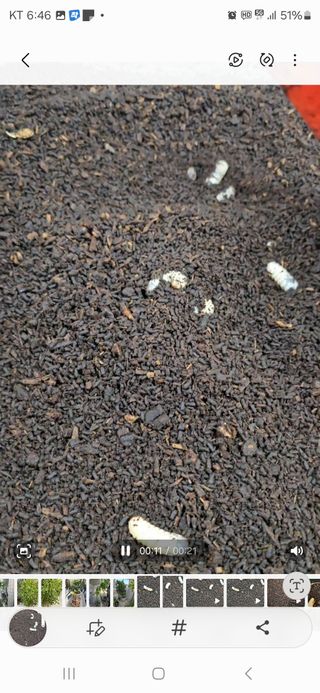 소병찬님의 2025년, 농사계획은 어떻게 되시나요? · 참여글 작성글 사진