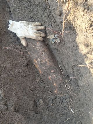 이현상님의 자유주제 · 자유게시판 작성글 사진