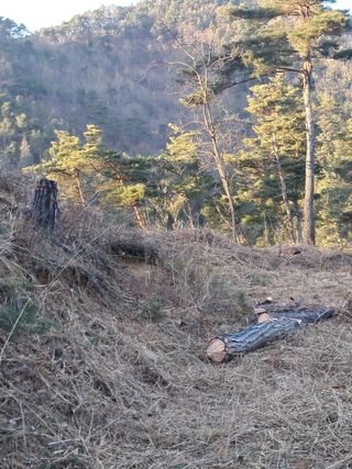 알 수 없음님의 자유주제 · 자유게시판 작성글 사진