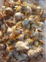 팜모닝 자유주제·자유게시판 게시글 이미지