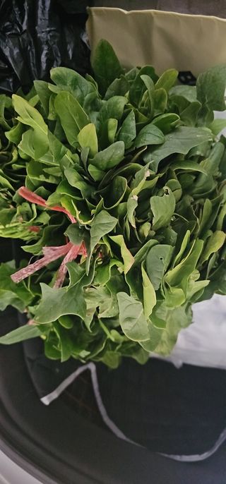 오영관님의 자유주제 · 자유게시판 작성글 사진